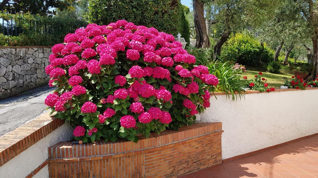 Casa Vittoria Vila Corsanico-Bargecchia Exterior foto